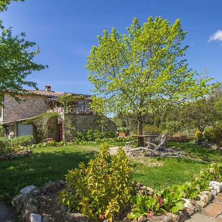 Ca'Novae - Tuscany Farmhouse Montieri Exterior foto